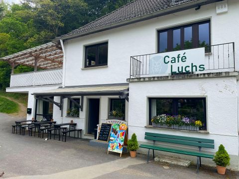 Een gezellig café met de naam "Café Luchs" in een modern gebouw. Het heeft een terras, tafels buiten en is omringd door planten.