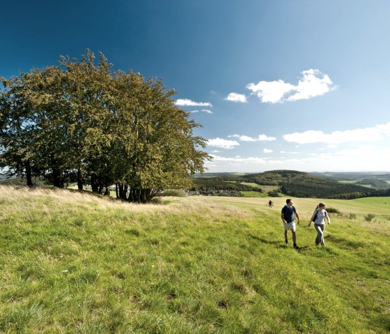 Wandeling in de buurt van Daun-Waldkönigen, © Eifel Tourismus GmbH - D. Ketz