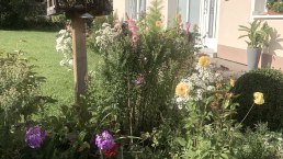 Bienvenue à la pension Jehnen
