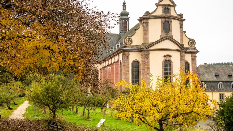 Herbstliche Szene am Kloster Himmerod mit gelben und braunen Blättern, einem Weg und einer Bank.