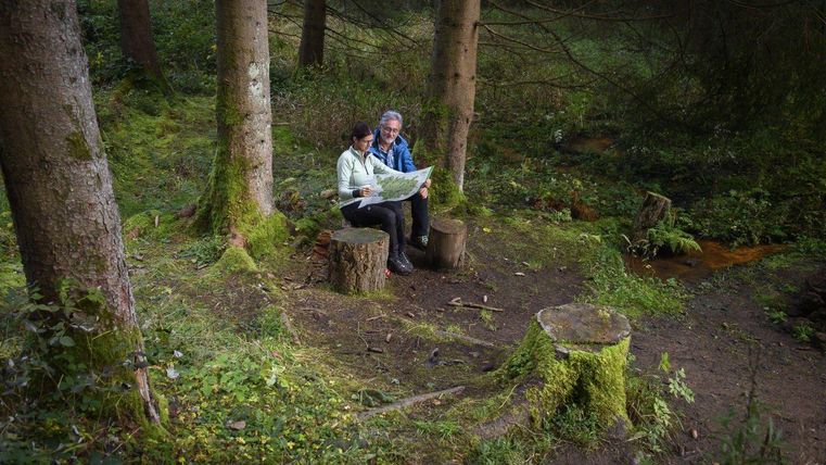 Een stel zit op boomstompen in het bos en kijkt naar een kaart. De omgeving is groen en vol bomen, wat een rustige sfeer creëert.