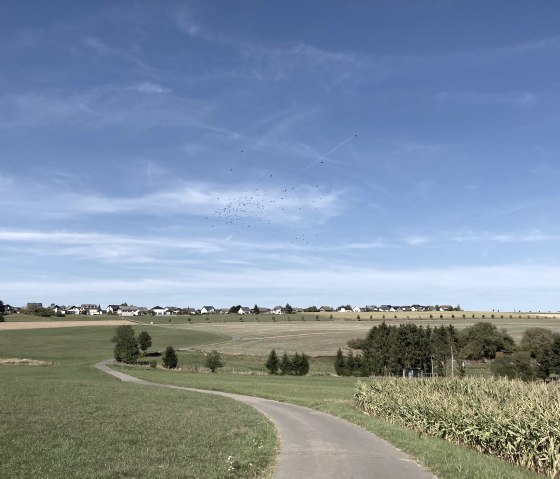 Landschaft Lutzerath-Driesch, &copy; GesundLand Vulkaneifel