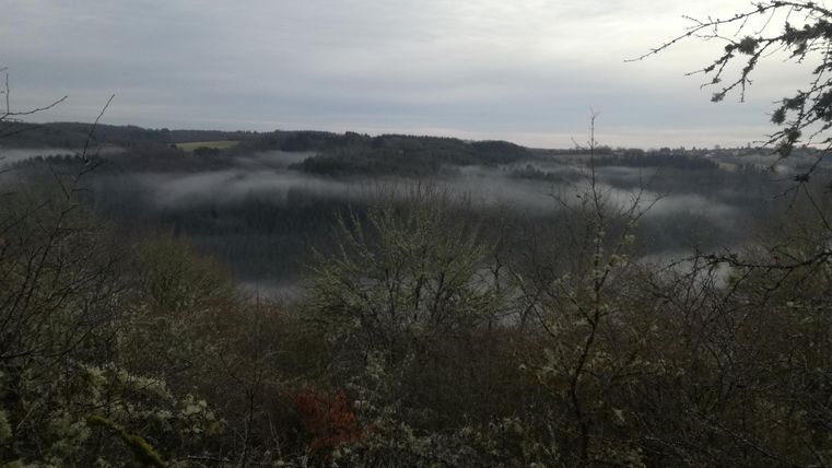 Een beboste landschap met zachte heuvels en mistige achtergrond. De lucht is bewolkt en somber.
