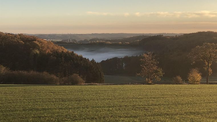 Eine malerische Landschaft mit sanften Hügeln und einem dichten Wald. Im Hintergrund sieht man einen See, umgeben von Nebel und Morgenlicht.
