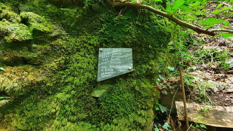 Ein grüner, moosbedeckter Stein mit einer beschrifteten Tafel. Umgeben von üppiger Vegetation im Wald.