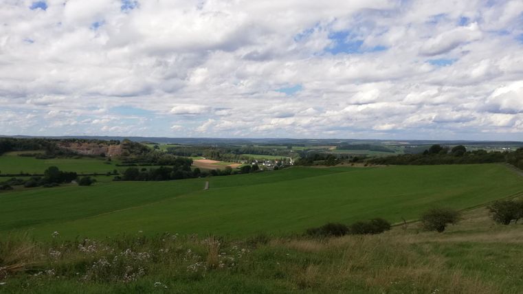 Wide green landscape with fields and trees under a cloudy sky. In the background, hills and a village can be seen.