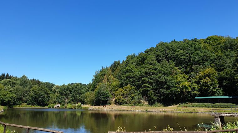 Ein ruhiger Teich umgeben von Bäumen und grünem Wald. Der Himmel ist klar und blau.