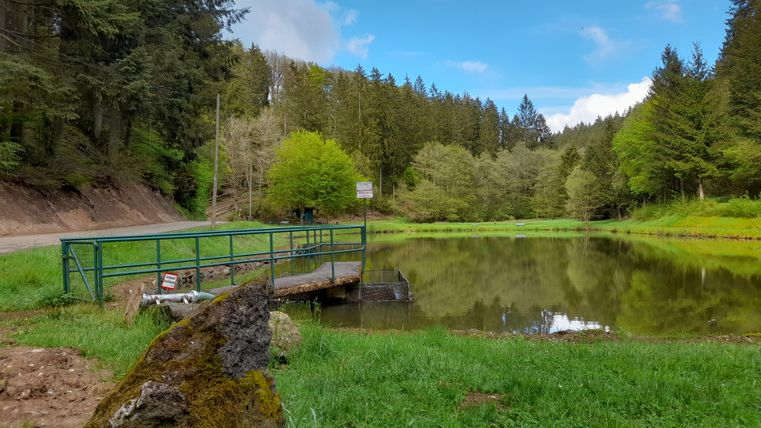 A quiet pond surrounded by trees and meadows. A small bridge crosses the water and the clouds drift across the blue sky.