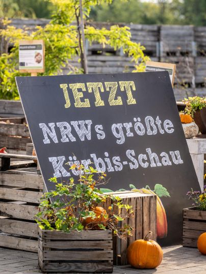 Werbeschild für die Kürbisschau im Eingangsbereich des Krewelshofs