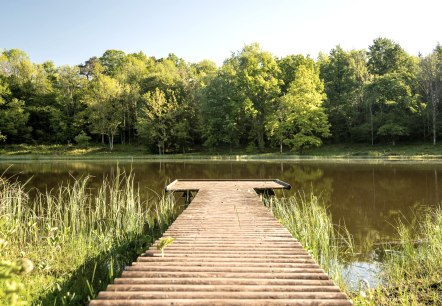 Windsborn Bergkratersee 1, © GesundLand Vulkaneifel GmbH/D. Ketz