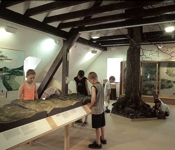 Innenansicht, &copy; Touristik GmbH Gerolsteiner Land