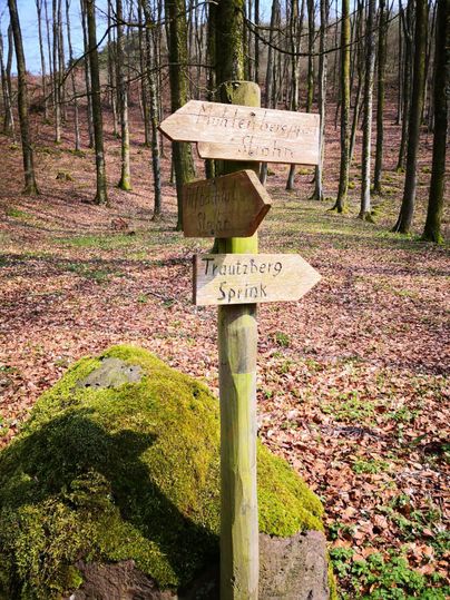 Ein Wegweiser im Wald zeigt verschiedene Richtungen an. Die Umgebung besteht aus Bäumen und fallenem Laub.