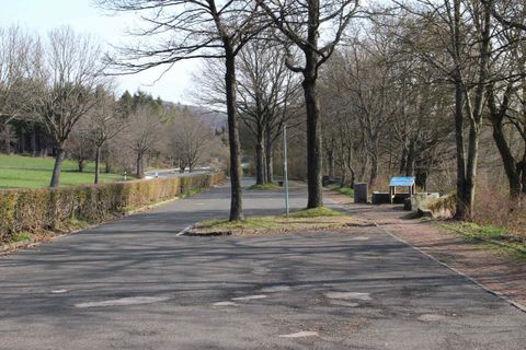 Eine ruhige Straße mit kahlen Bäumen und einem Blick auf eine grüne Wiese. Auf der rechten Seite steht ein Informationsschild.