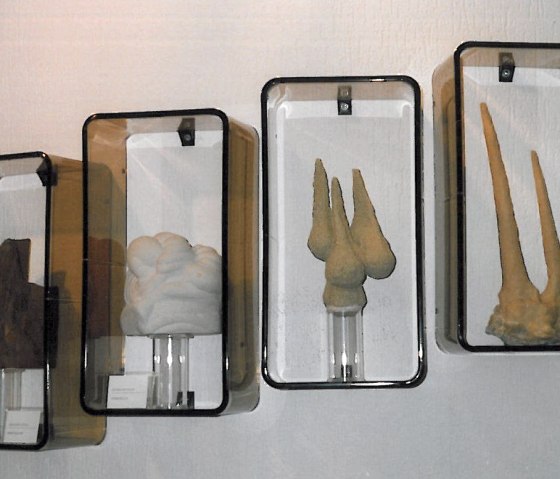 Steinkiste Manderscheid, &copy; GesundLand Vulkaneifel/Hans St&ouml;lben