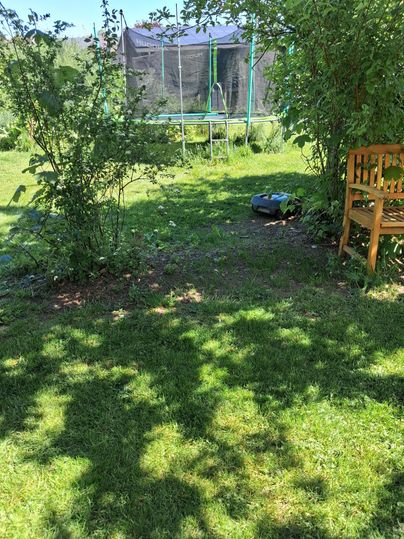 A beautiful garden with green grass and a trampoline in the background. In the foreground, there are some bushes and a wooden bench.