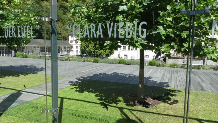 Eine klare Sicht auf eine gepflegte Grünfläche mit Bäumen. Im Hintergrund sind Gebäude sichtbar.