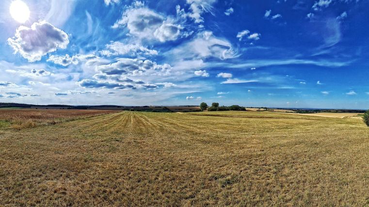Eine weite, sonnige Landschaft mit goldenem Feld und blauem Himmel. Weiße Wolken ziehen über das Bild.