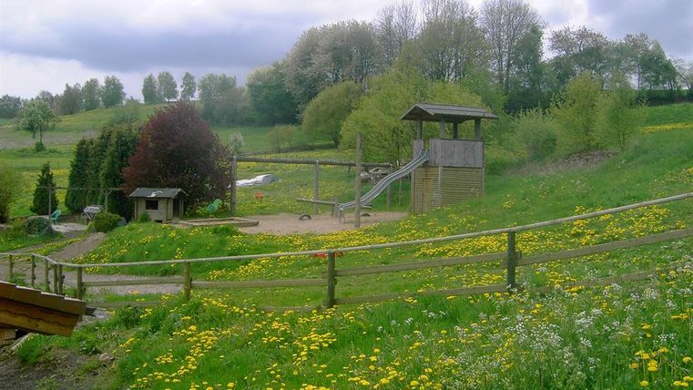Ein Spielplatz auf einem grünen Feld mit vielen Löwenzahnblüten. Im Hintergrund sind Bäume und ein bewölkter Himmel zu sehen.