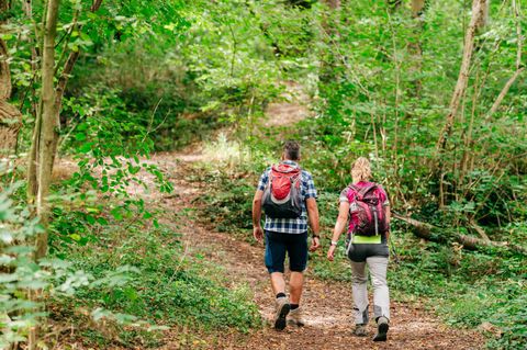 Twee wandelaars lopen langs een bospad. De omgeving is groen en weelderig, met veel bomen en planten.