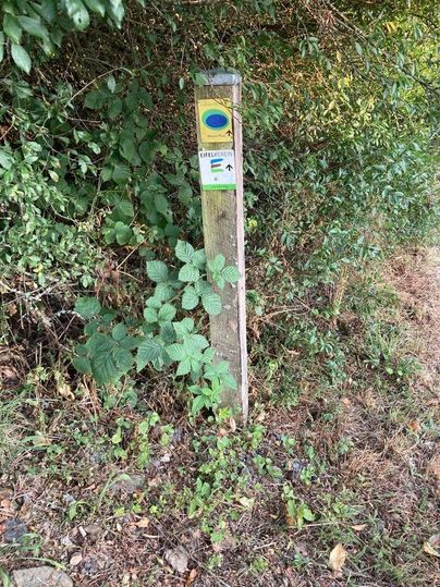 A signpost stands in the green, surrounded by bushes and plants. The signs show directional hints for hikers.