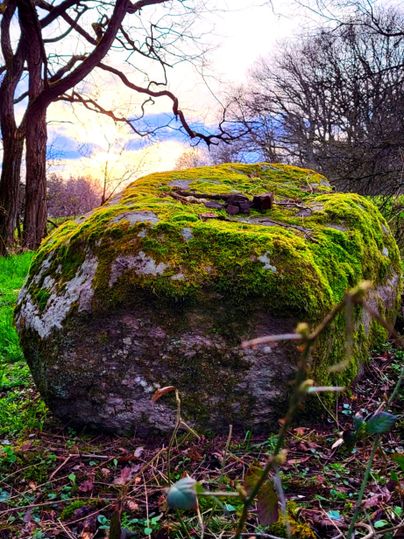 A large, moss-covered stone in a green meadow. In the background, there are bare trees and a colorful sky.