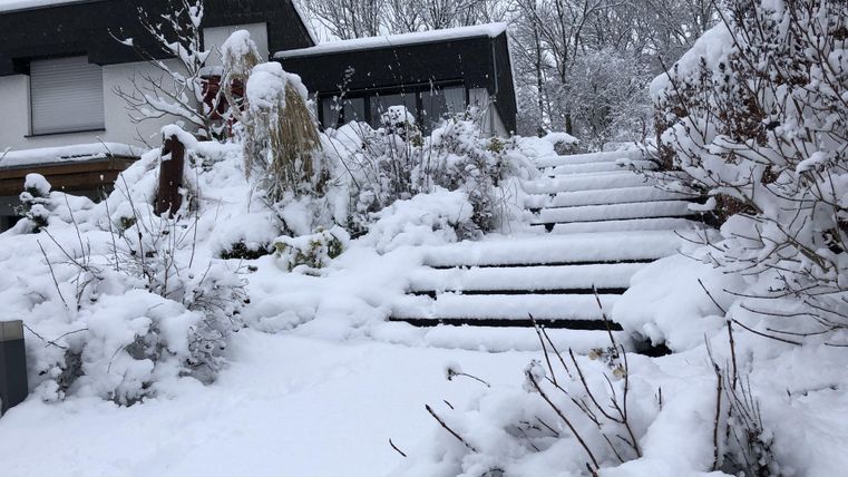 A snow-covered garden with stairs leading to a house. The landscape is wintry and tranquil.
