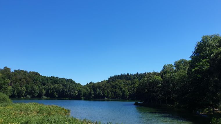 Ein ruhiger See umgeben von grünem Uferbewuchs und Bäumen. Der Himmel ist klar und blau.