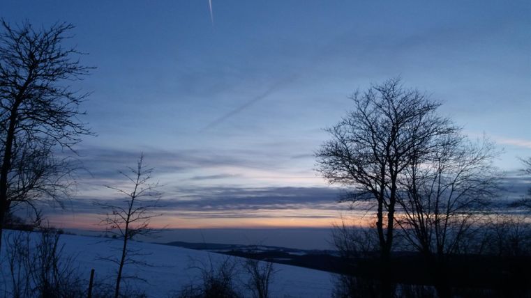 A winter landscape with snow-covered fields and bare trees. The sky is in soft shades of blue, and a delicate sunset is visible.
