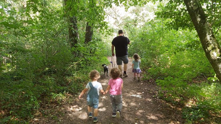 Eine Gruppe von Kindern geht auf einem Waldweg, gefolgt von einem Erwachsenen mit einem Hund. Die Umgebung ist grün und voller Bäume.