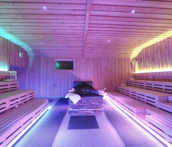 Infusion arena lichtshow