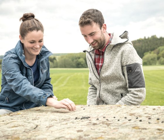 Romeins wild in het natuurreservaat Steinbüchel - vulkanenpad, © Eifel Tourismus GmbH, D. Ketz
