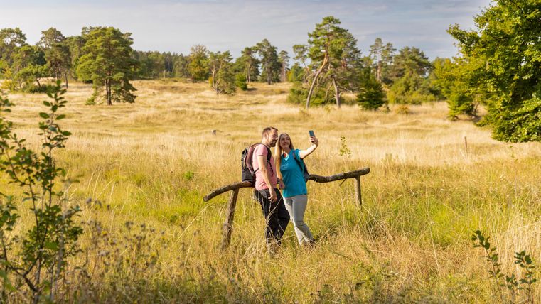 A couple is taking a selfie in a beautiful, sunny landscape. In the background, green trees and a wide meadow can be seen.