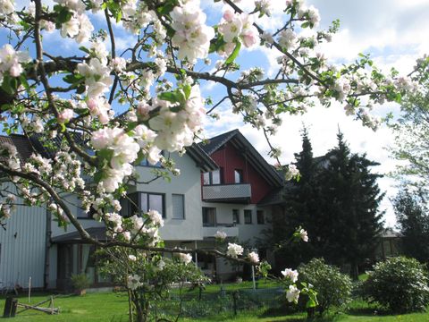 A beautiful house surrounded by blooming trees and a green garden. The sky is clear and the atmosphere is friendly.