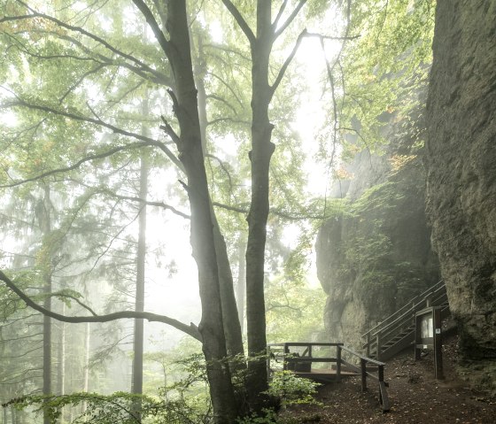 Ein nebliger Wald mit hohen Bäumen und einem Pfad, der zu einer Höhle führt. Ein Holzgeländer und eine Infotafel sind sichtbar., © Eifel Tourismus GmbH, Dominik Ketz