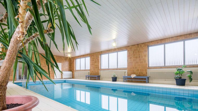 A bright indoor pool with large windows and a well-kept ambiance.
Palms and plants create a relaxing atmosphere.