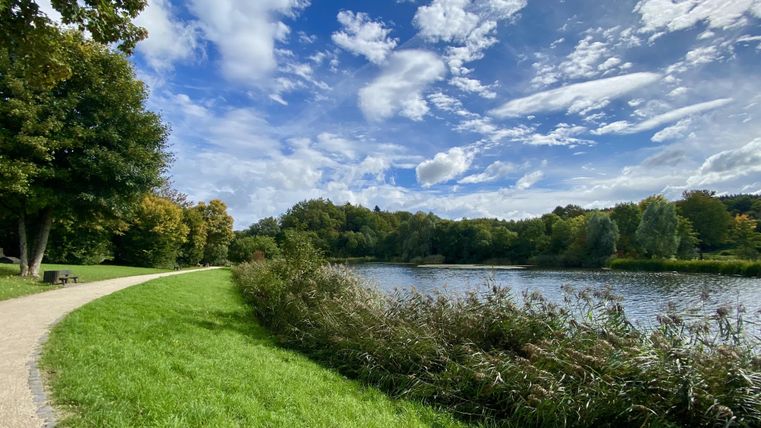 Links ein barrierefreier Spazierweg neben einer Wiese und rechts ein mit Sträuchern umrahmter See unter blauem Himmel.