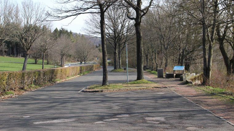 Eine ruhige Straße mit kahlen Bäumen und einem Blick auf eine grüne Wiese. Auf der rechten Seite steht ein Informationsschild.