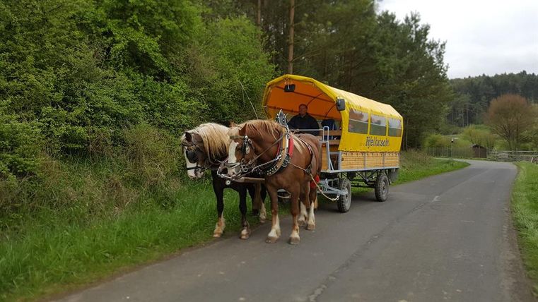 Zwei Pferde ziehen eine gelbe Planwagenkutsche mit der Aufschrift 'Eifelkutsche' auf einer Landstraße durch eine grüne, bewaldete Landschaft.