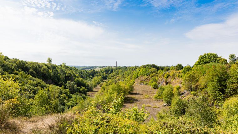 A green landscape with gentle hills and numerous trees. The sky is partially cloudy, and the atmosphere feels calm and peaceful.