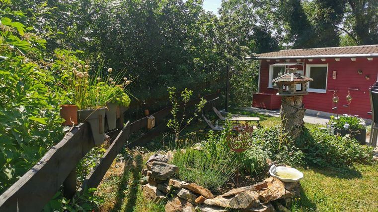 Een mooie tuin met veel groen en een kleine berg stenen. Op de achtergrond staat een rood gebouw.