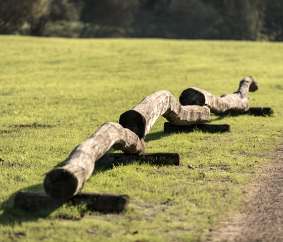 Ein geschwungener Holzstamm liegt auf einer gr&uuml;nen Wiese neben einem Weg im Bolsdorfer T&auml;lchen, Hillesheim., &copy; Eifel Tourismus GmbH, Dominik Ketz