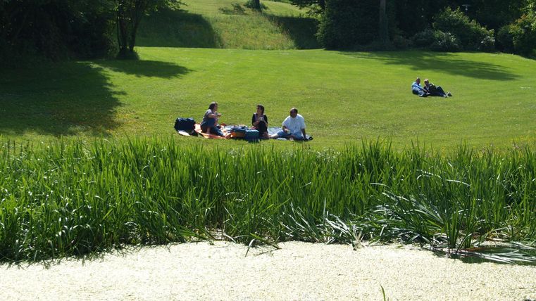 A sunny meadow with several people sitting relaxed on a blanket. In the foreground, tall grass is growing and some leaves are visible on the ground.