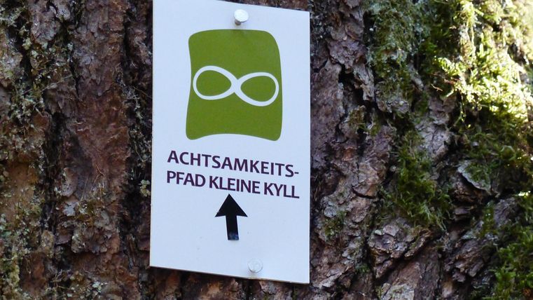 Ein Hinweis auf den Achtsamkeitsweg "Kleine Kyll" ist an einem Baum befestigt. Das Schild zeigt ein grünes Symbol und weist auf den Weg hin.
