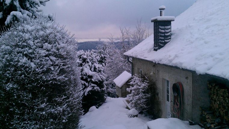 Ein verschneites Haus umgeben von schneebedeckten Bäumen. Die Landschaft ist ruhiger und winterlich.