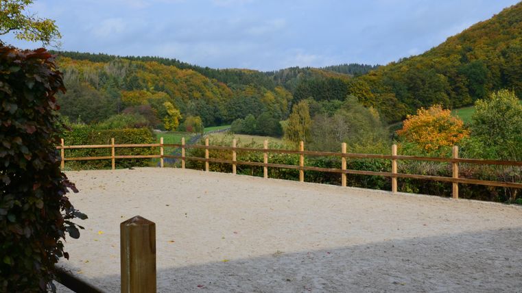 Eine geräumige, sandige Reitfläche umgeben von einem Holzzaun. Im Hintergrund sind sanfte Hügel und bunt gefärbte Bäume zu sehen.