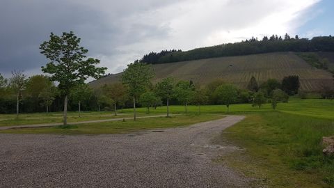 Eine grüne Landschaft mit sanften Hügeln und Weinbergen im Hintergrund. Der Himmel ist bewölkt, was der Szenerie eine ruhige Atmosphäre verleiht.