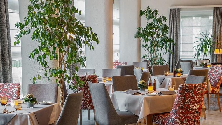 Een elegant restaurant met heldere tafels en gezellige stoelen. Planten geven de ruimte een aangename sfeer.