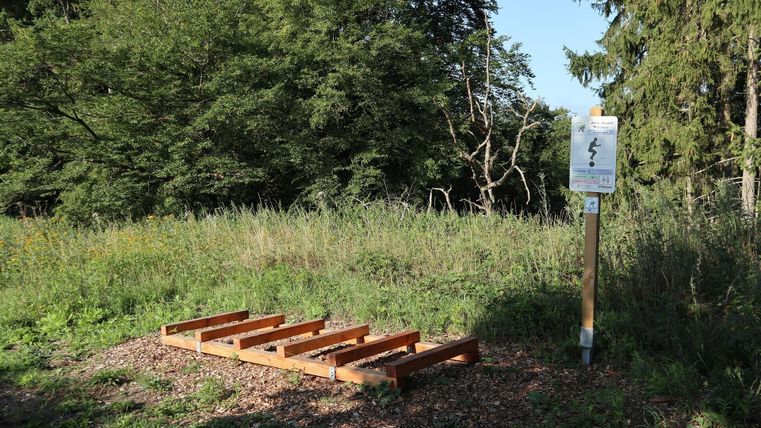Ein Holzrahmen steht auf grasbewachsenem Boden in einem Wald. Neben dem Rahmen befindet sich ein Schild mit Informationen.