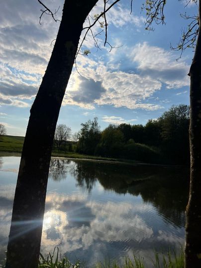 A tranquil lake, surrounded by trees, reflects the clouds and the light of the sky. The scene conveys a peaceful and natural atmosphere.