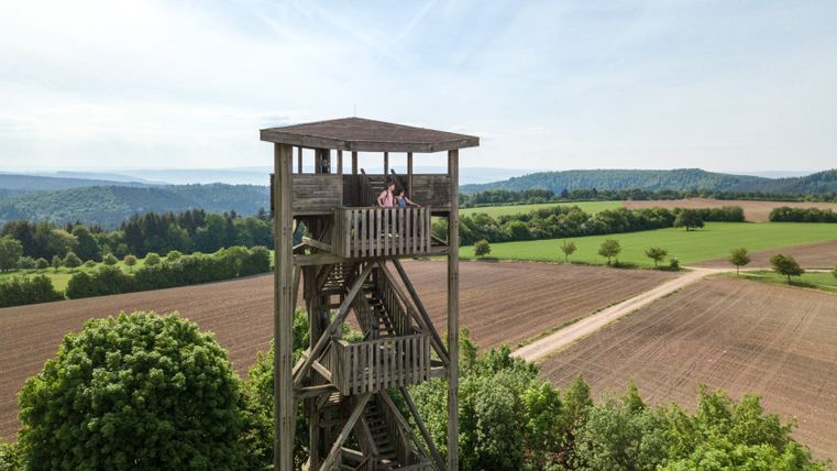 Holzaussichtsturm in ländlicher Landschaft mit Feldern und Wäldern im Hintergrund.